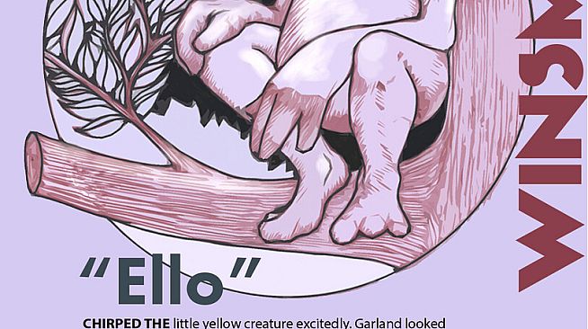 The Mystery Of Woolley Mountain - The Story PDF