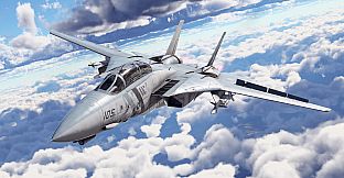 War Thunder - F-14D Bundle