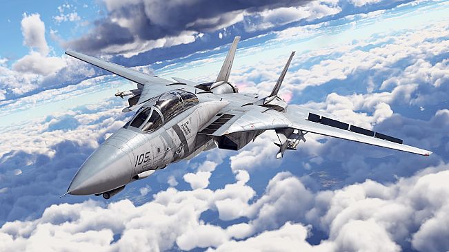 War Thunder - F-14D Bundle