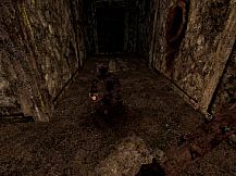 Labyrinth Of The Demon King