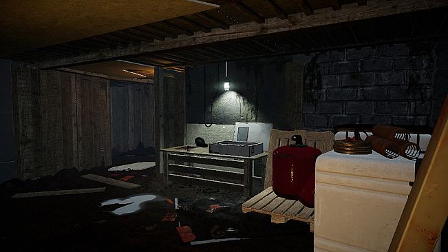 The kidnapped: Escape Room