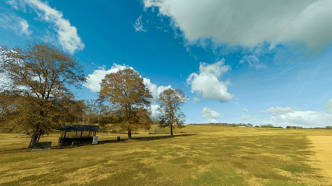 RealFlight Evolution - Triple Tree Electric Flightline