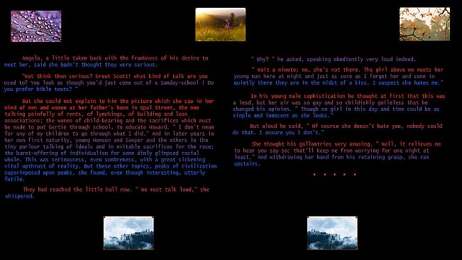 Plum Bun Reformatted