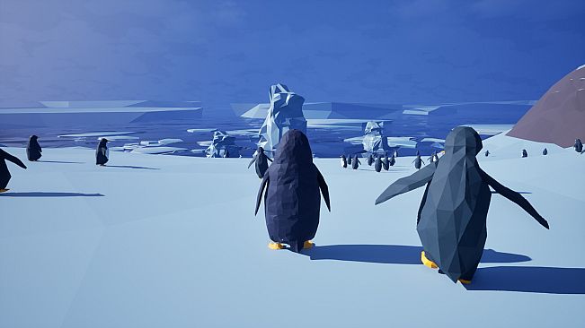 Penguin, but why?