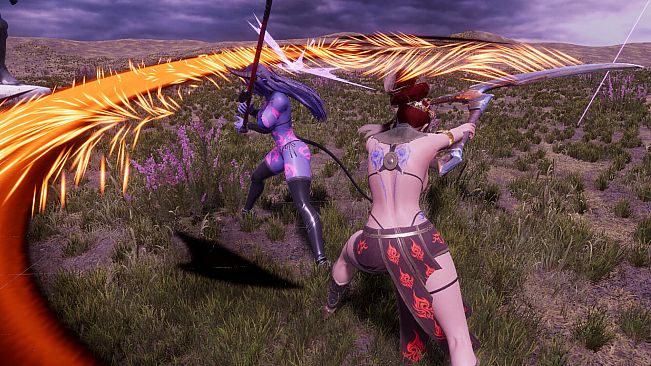 Fight With Valkyries [18+]