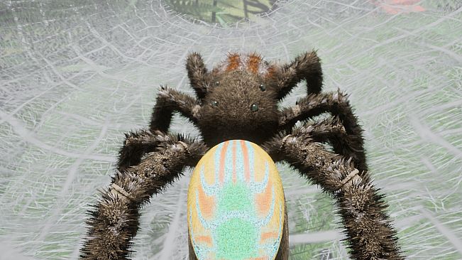 Peacock Jumping Spider - Drunk On Nectar