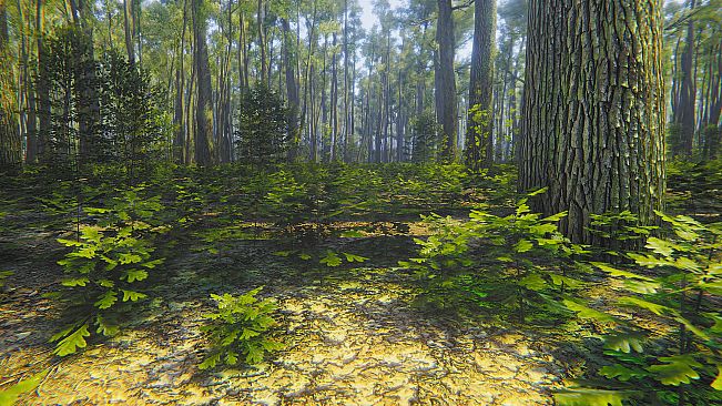 Mindfulness Simulator - ASMR Meditation Game