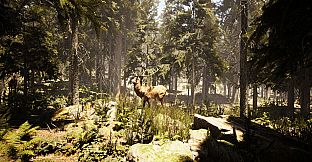 Photography Simulator