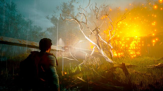 Poveglia: The Island of No Return