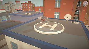 Baby Pygmy Hippo Zoo