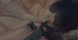 Дока 2: Полное проникновение