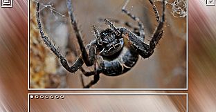 Super Jigsaw Puzzle: Generations - Bugs Puzzles