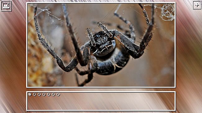 Super Jigsaw Puzzle: Generations - Bugs Puzzles