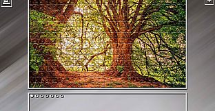 Super Jigsaw Puzzle: Generations - Forests