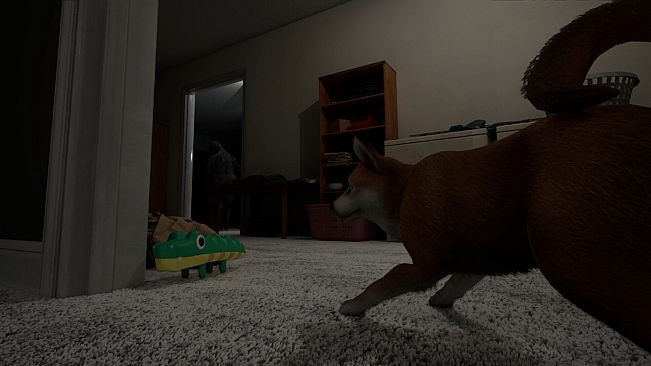 The Good Dog: Chasing Shadows