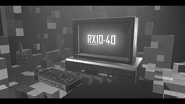 RX10-40