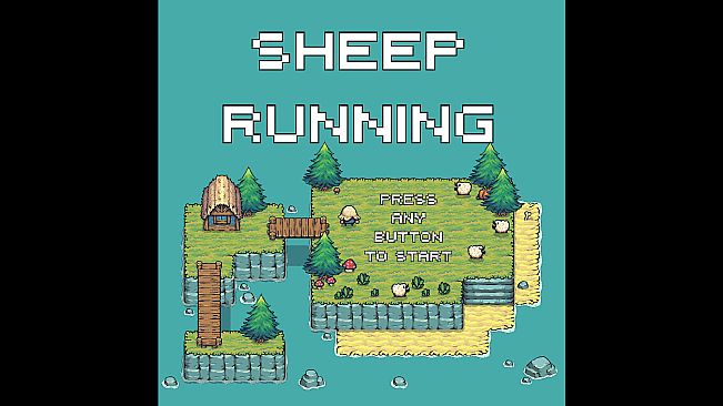 SHEEP RUNNING