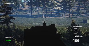 Liberation Special Forces