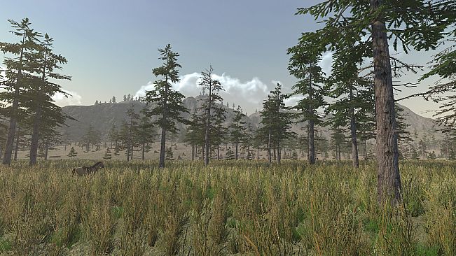 Sierra Madre: The Wild West