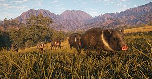 theHunter Call of the Wild - Rancho del Arroyo