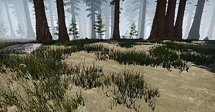 Missing Plane: Survival