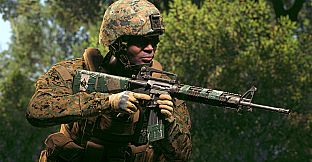 Squad Weapon Skins - Recon Team Pack