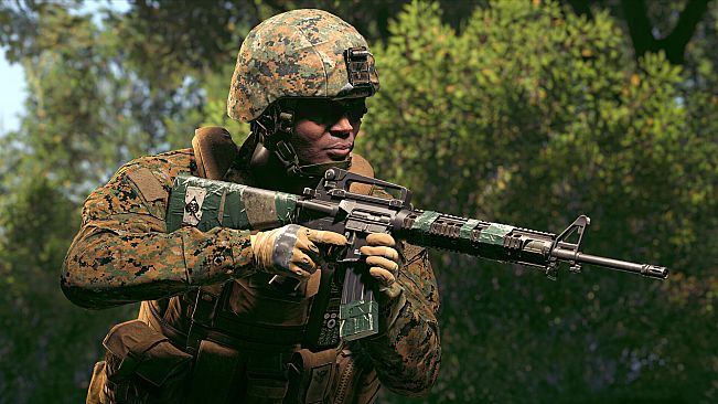Squad Weapon Skins - Recon Team Pack