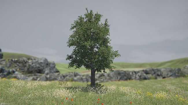 Tree Simulator 2021