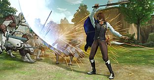 WARRIORS ALL-STARS: Darius-themed costume for Mitsunari