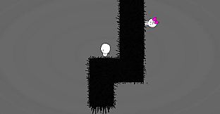 Him & Her Collection