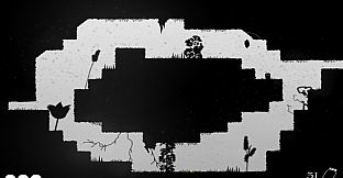 Shadows