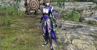 WARRIORS OROCHI 4/無双OROCHI３ - Legendary Weapons Wei Pack 2