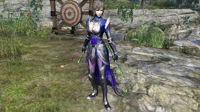 WARRIORS OROCHI 4/無双OROCHI３ - Legendary Weapons Wei Pack 2