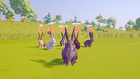 Rabbit Simulator