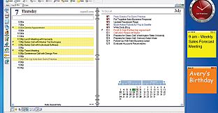 AnyTime Organizer Deluxe 15