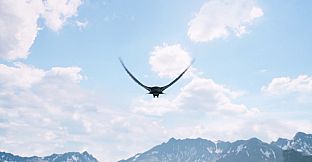 FREEDOM: Hunt Kill Fly