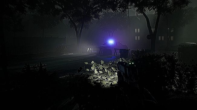 Amber Alert Director's cut