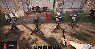 Road of a Survivor