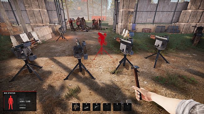 Road of a Survivor