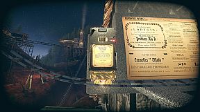 Pnevmo-Capsula: Domiki