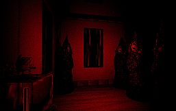 MR 333 II: Planetbirth