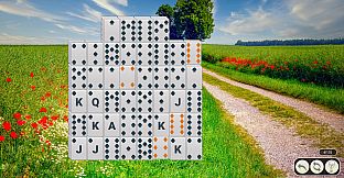 Solitaire Flowerscapes