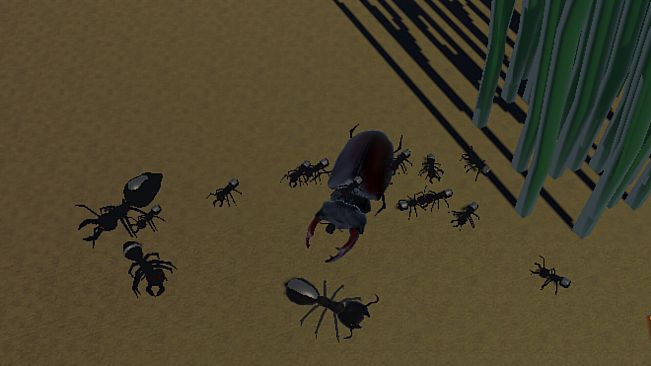 Insect Wars