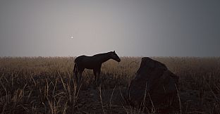 Abnormal1999:Sector 49