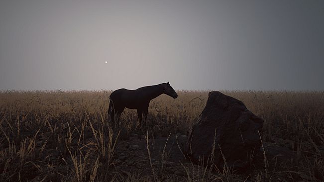 Abnormal1999:Sector 49