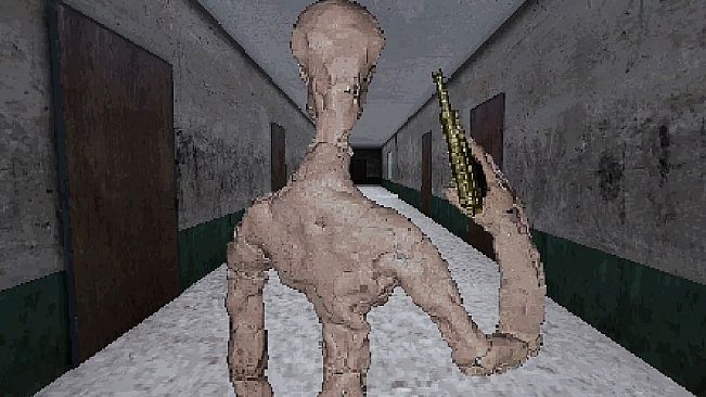 Elation For The Wonder Box 6000