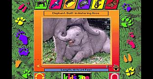 Kid's Zoo: A Baby Animal Adventure