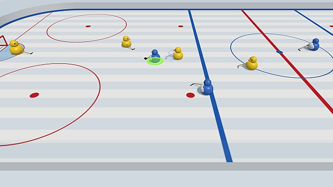 Bird Hockey League