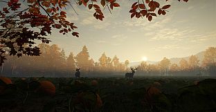 theHunter Call of the Wild - New England Mountains