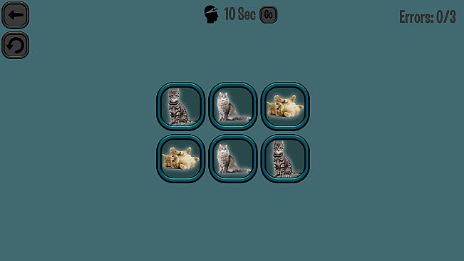 Animals Memory: Cats